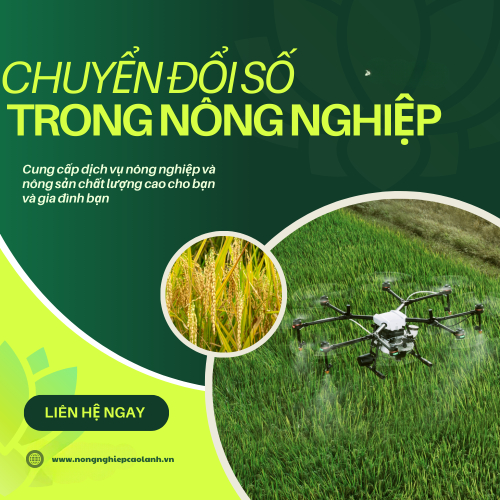 Cẩm Nang Quản Lý Và Phát Triển Trung Tâm Nông Nghiệp