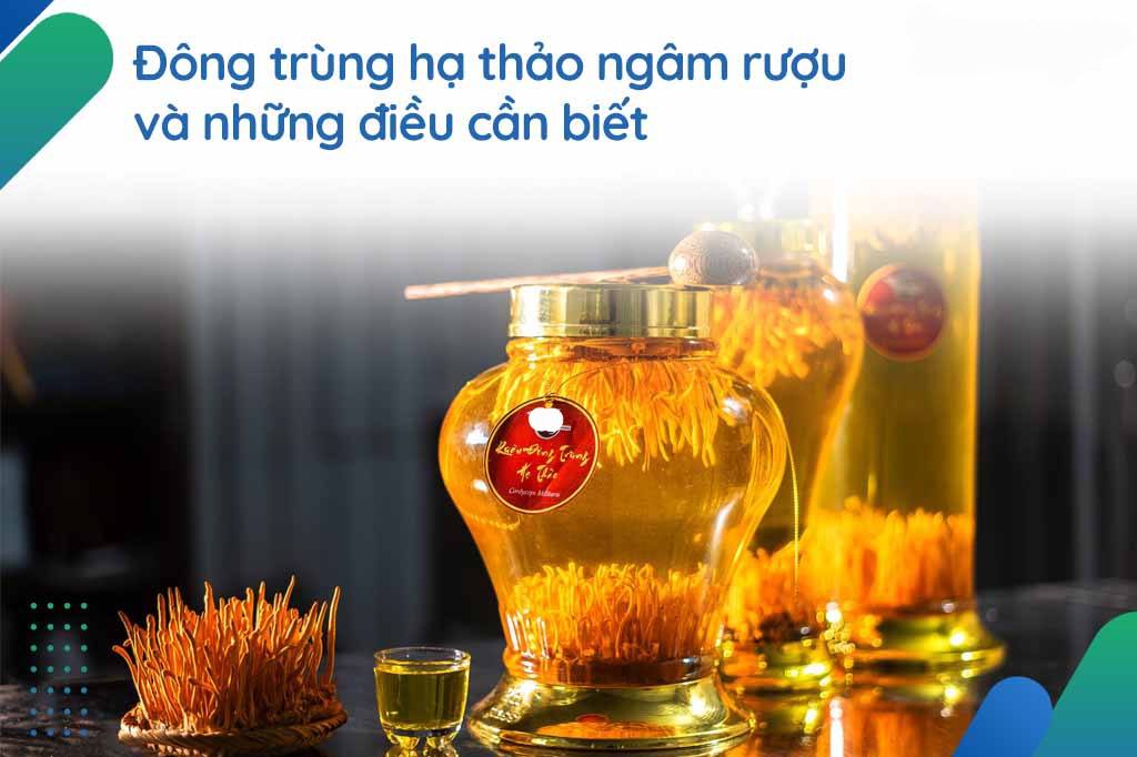 Một số lưu ý và cách sử dụng rượu đông trùng hạ thảo