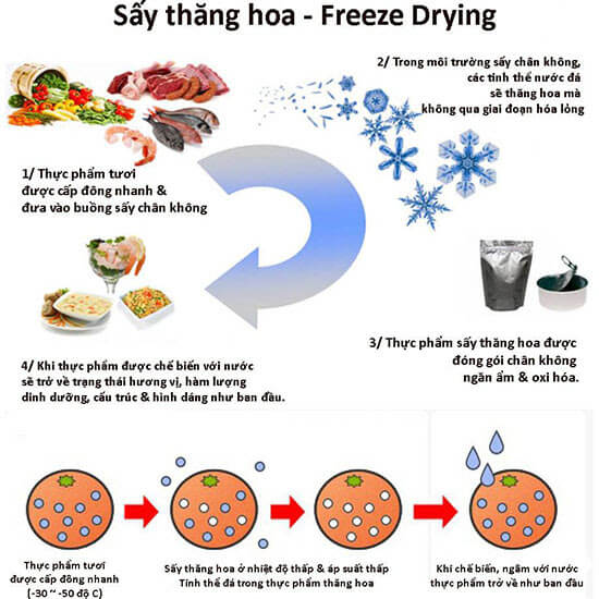 Nguyên lý hoạt động của công nghệ sấy thăng hoa