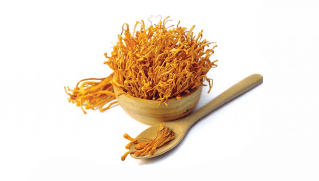 Phân loại theo trạng thái