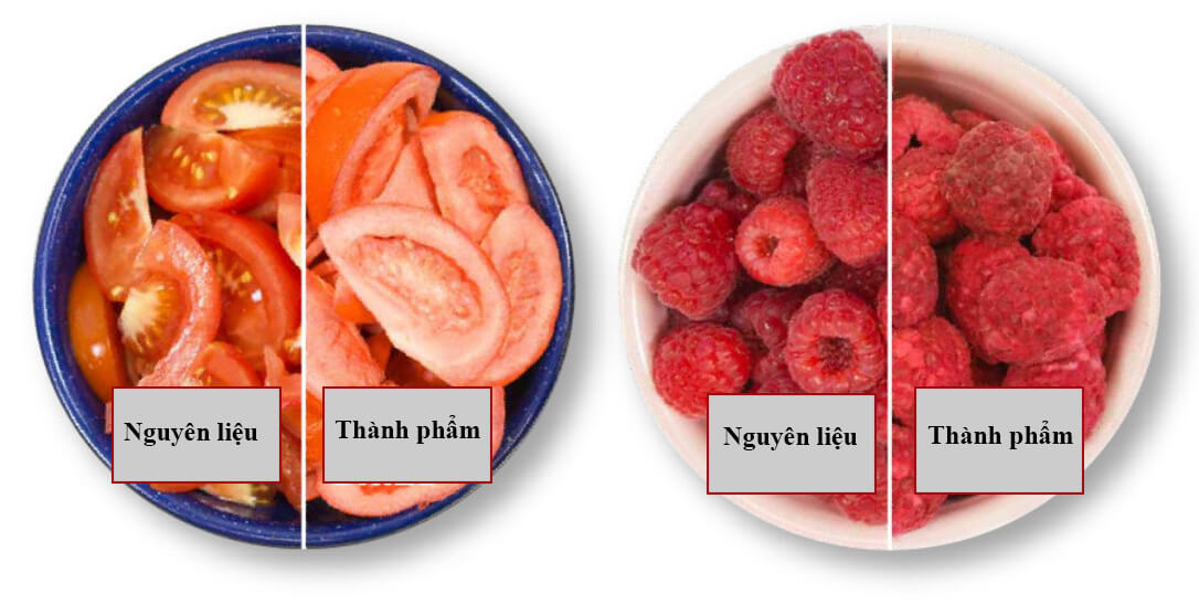 Ưu điểm của phương pháp sấy thăng hoa