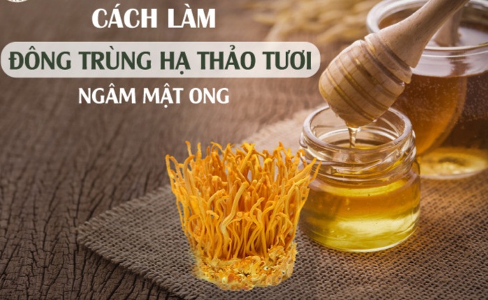 Đông trùng hạ thảo ngâm mật ong