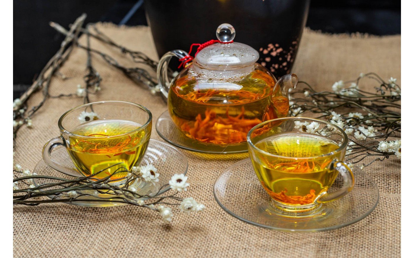 Cách dùng đông trùng hạ thảo hãm trà