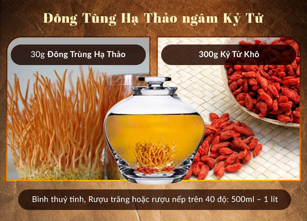 Rượu trùng thảo lạc tiên kỷ tử