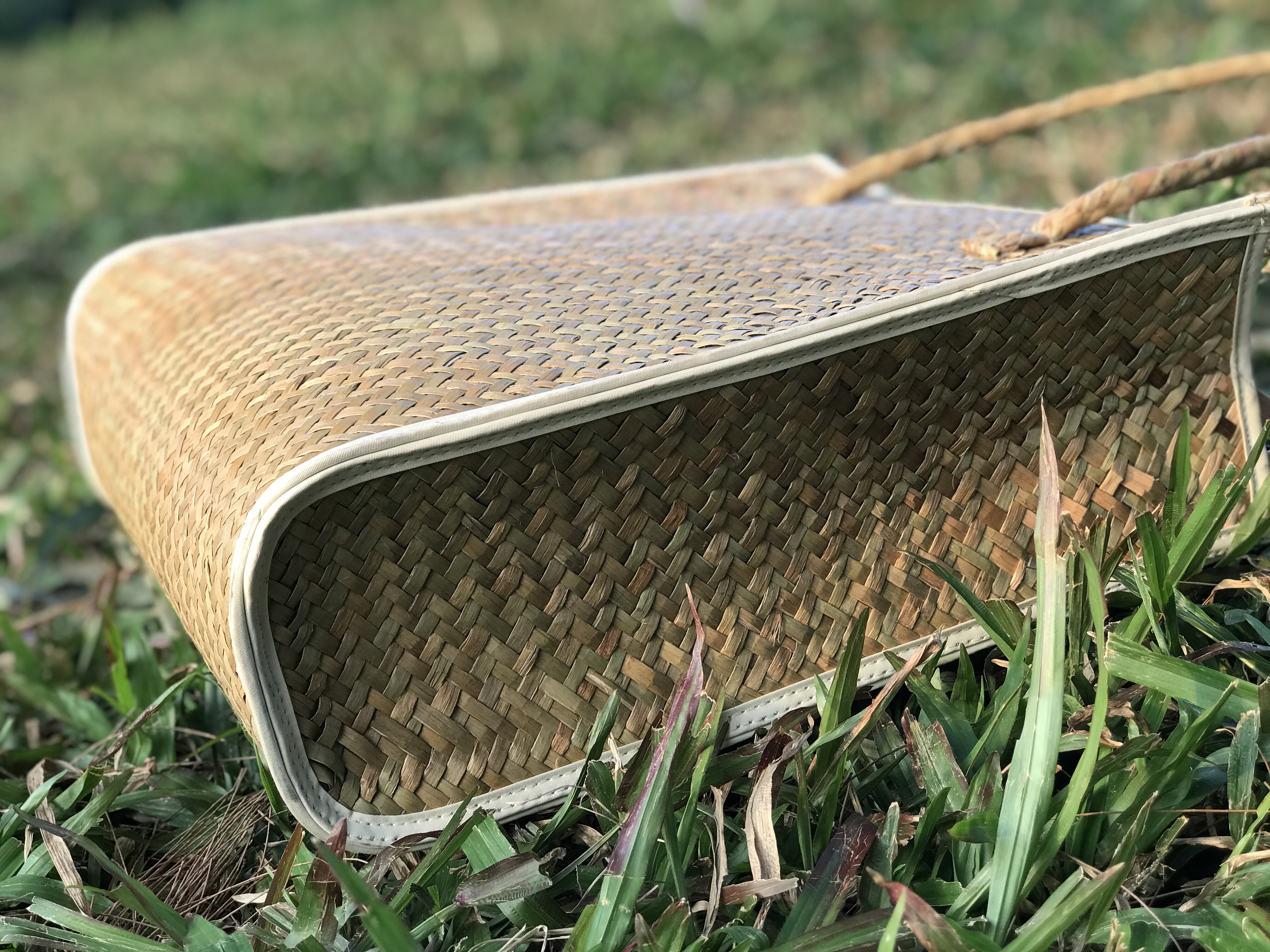 Túi xách cỏ bàng là gì?
