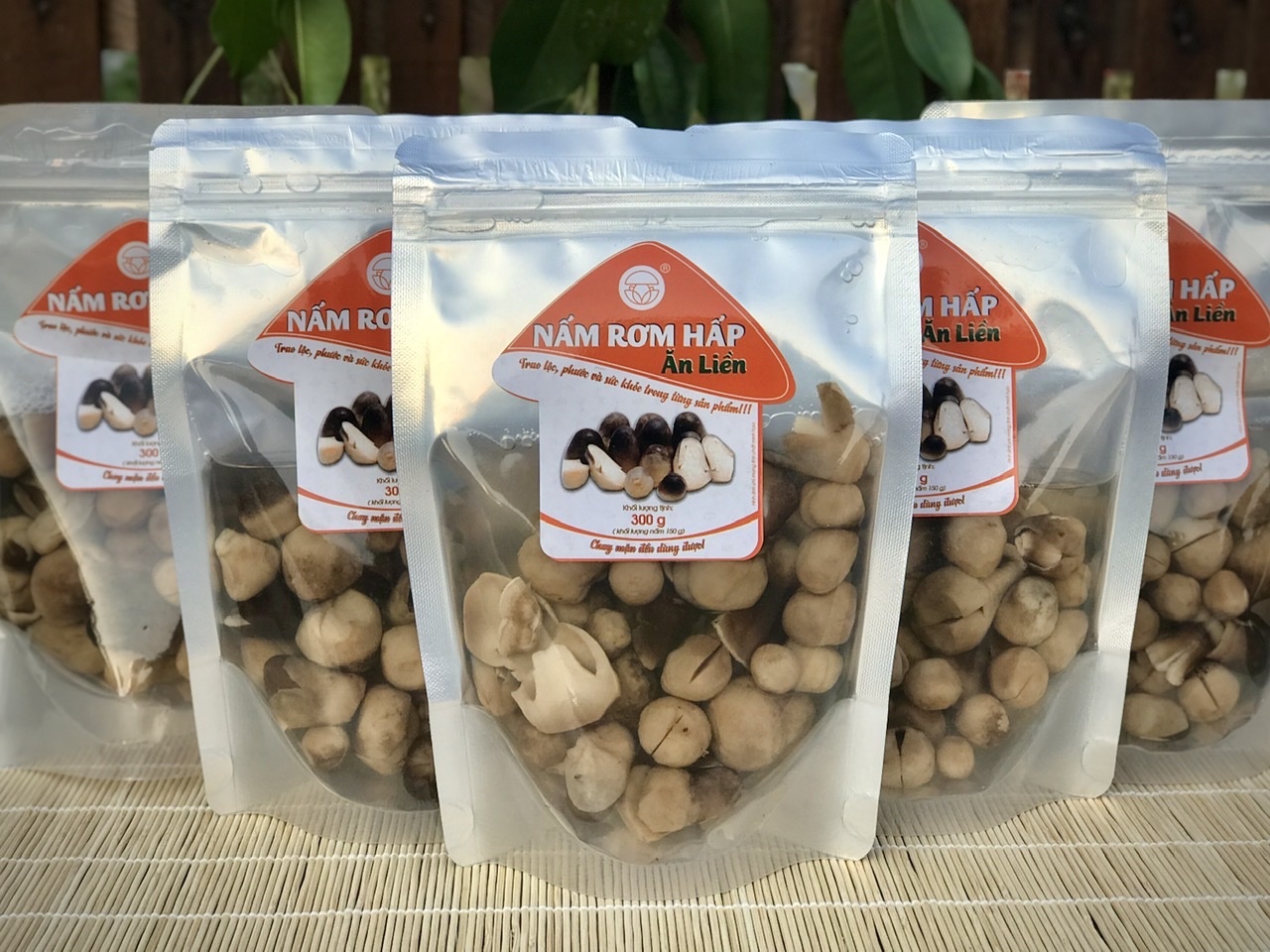 Hình dáng của nấm