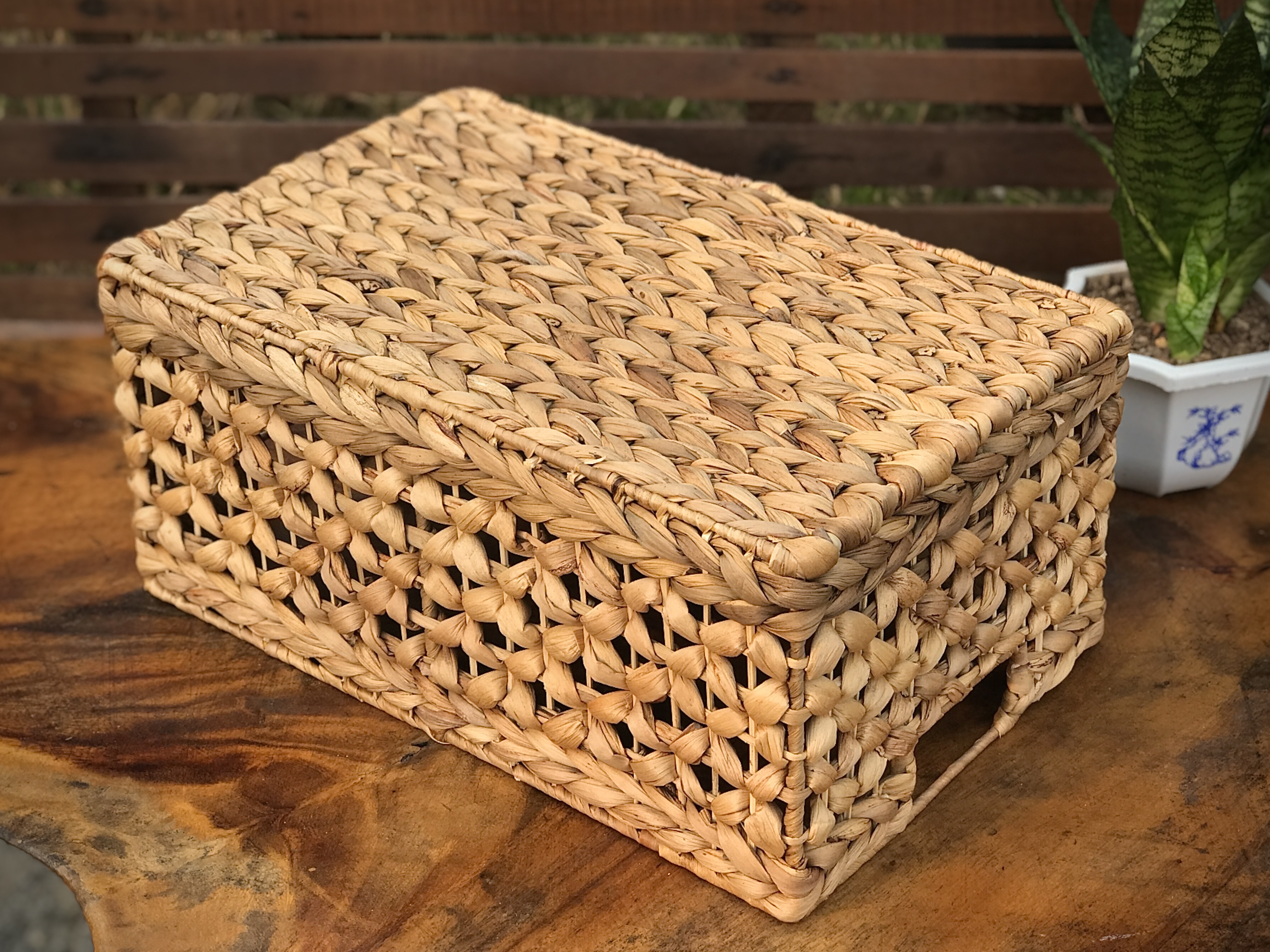 Tinh tế và sang trọng