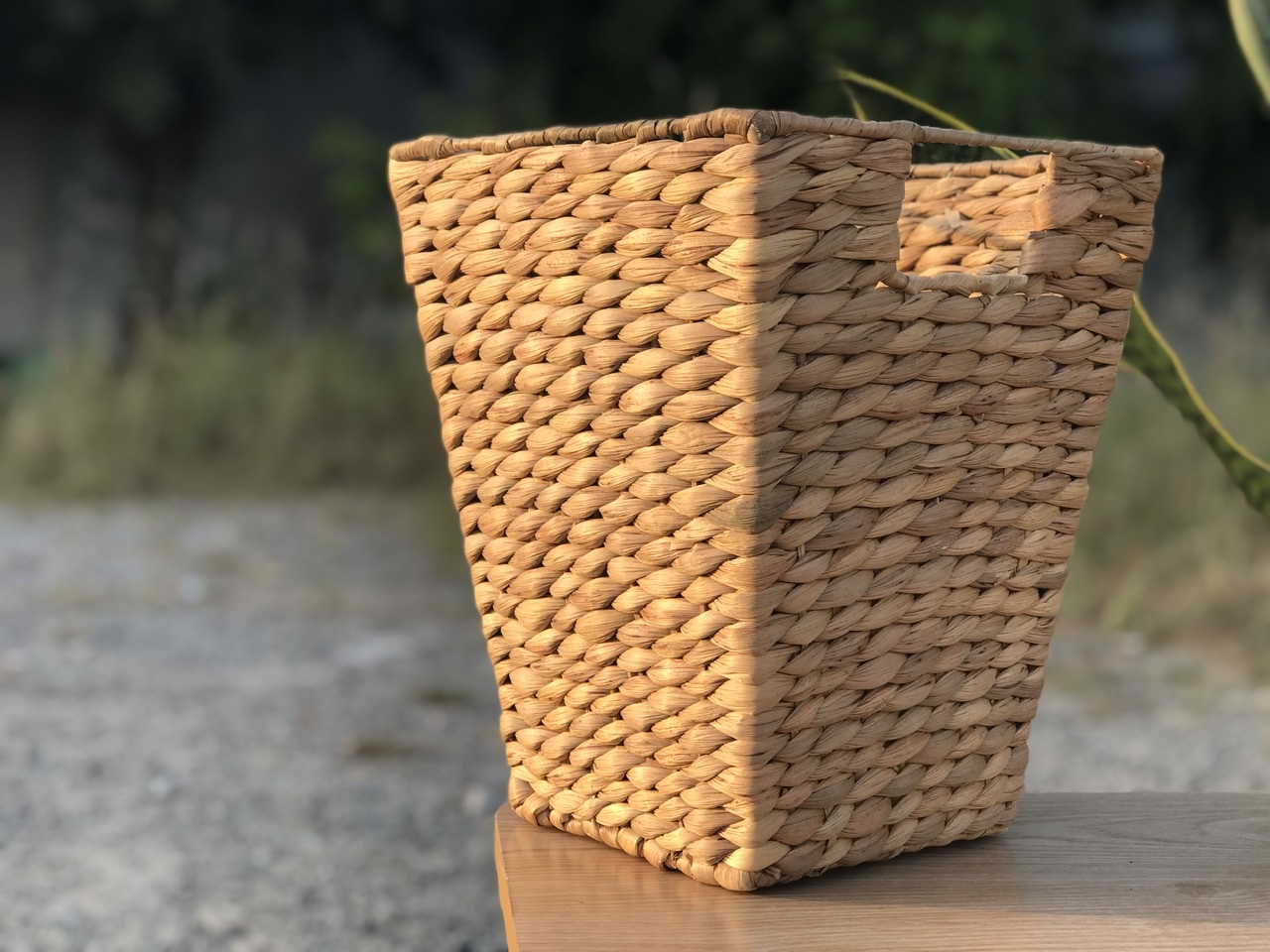 Sọt lục bình khung gỗ