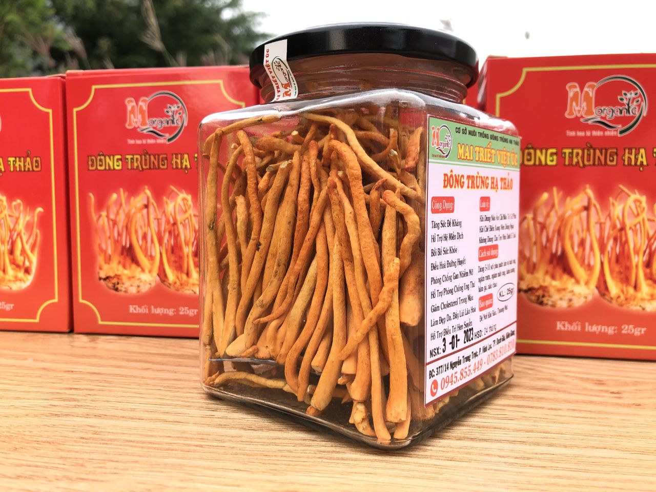 Người trưởng thành có sức khỏe bình thường