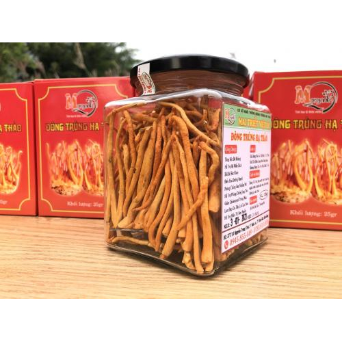 Công dụng của đông trùng hạ thảo cho người trẻ. Cách sử dụng hiệu quả