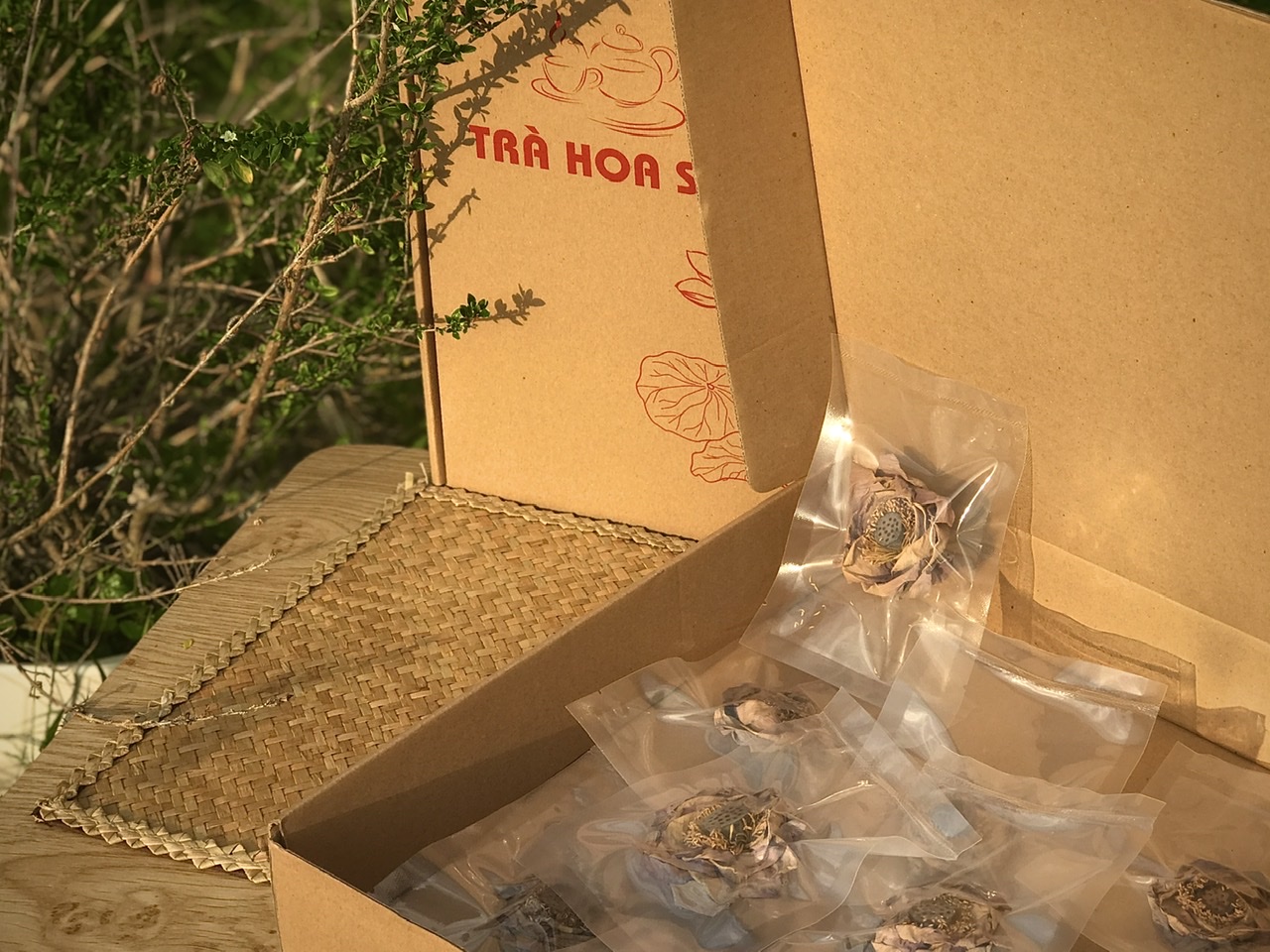 Tăng cường tuần hoàn máu
