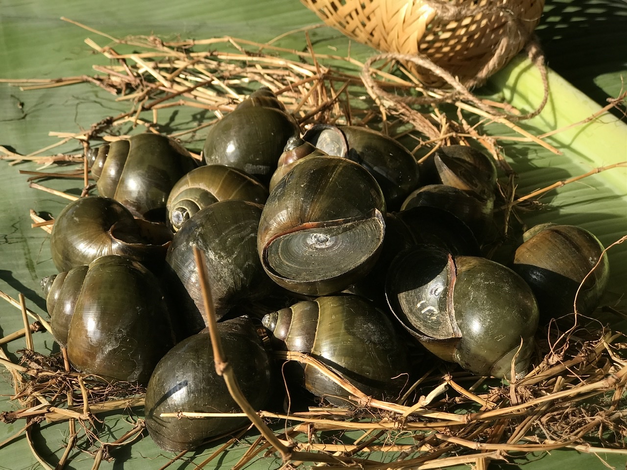 Bước 1: Chuẩn bị nguyên liệu