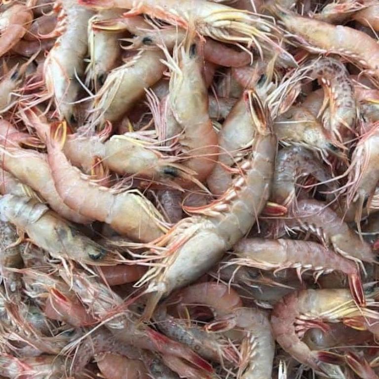 Tôm sắt