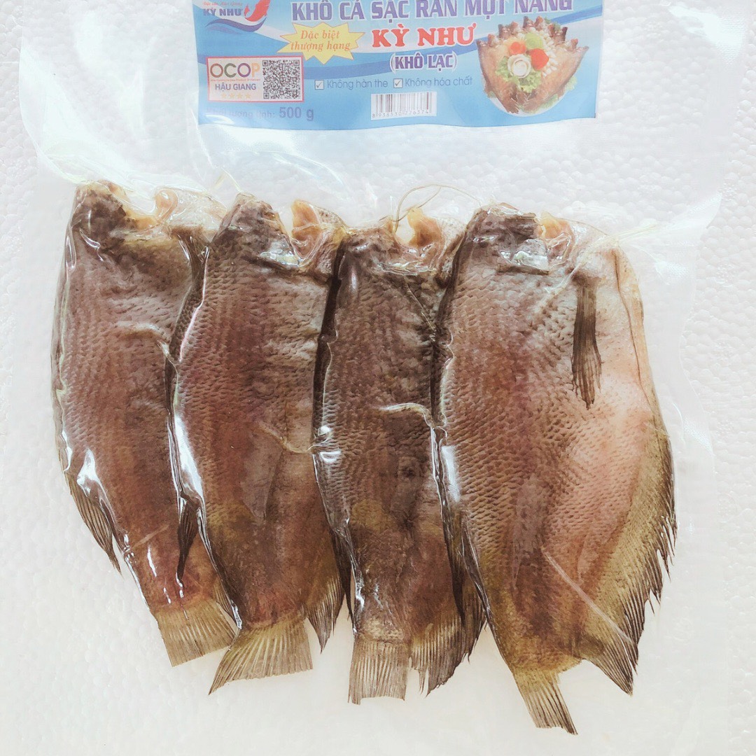 Cá sặc có đặc điểm gì?