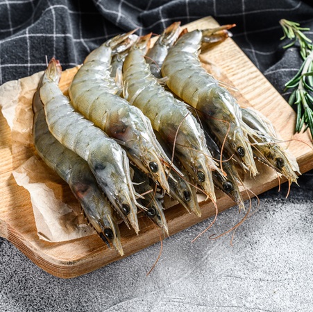 Tôm bạc là gì?