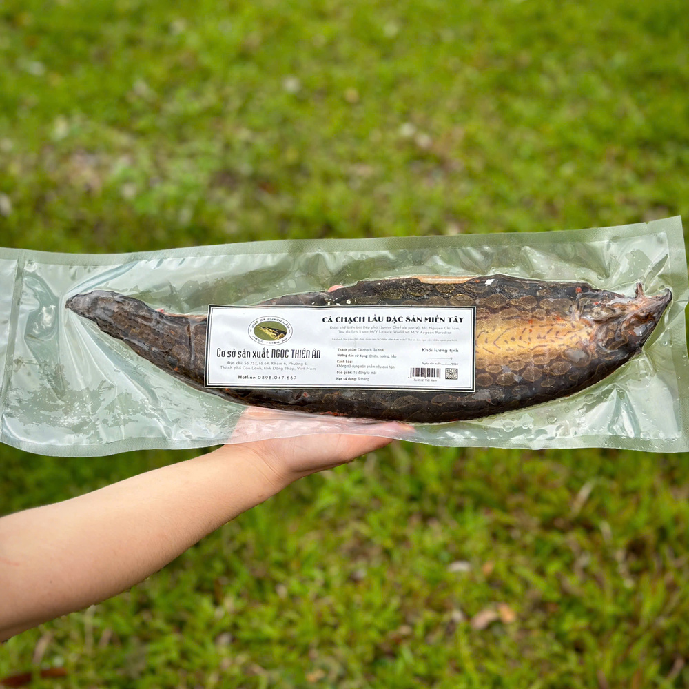 Thành phần dinh dưỡng của cá chạch