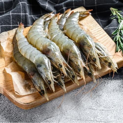 Tôm bạc là gì?
