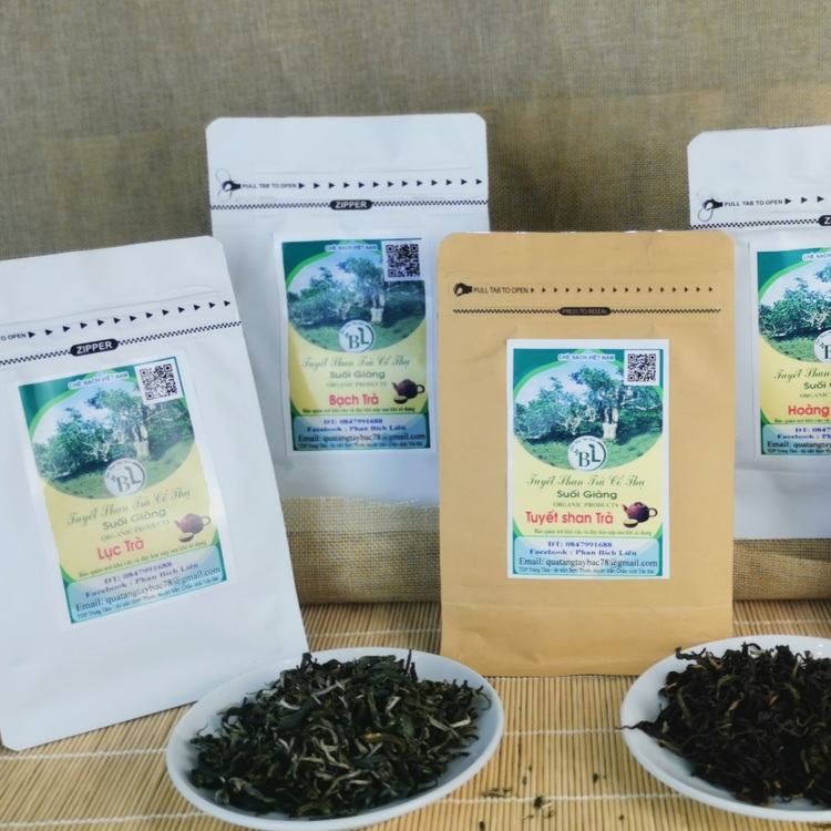 Uống trà xanh mỗi ngày giúp giảm nguy cơ mất trí nhớ không?