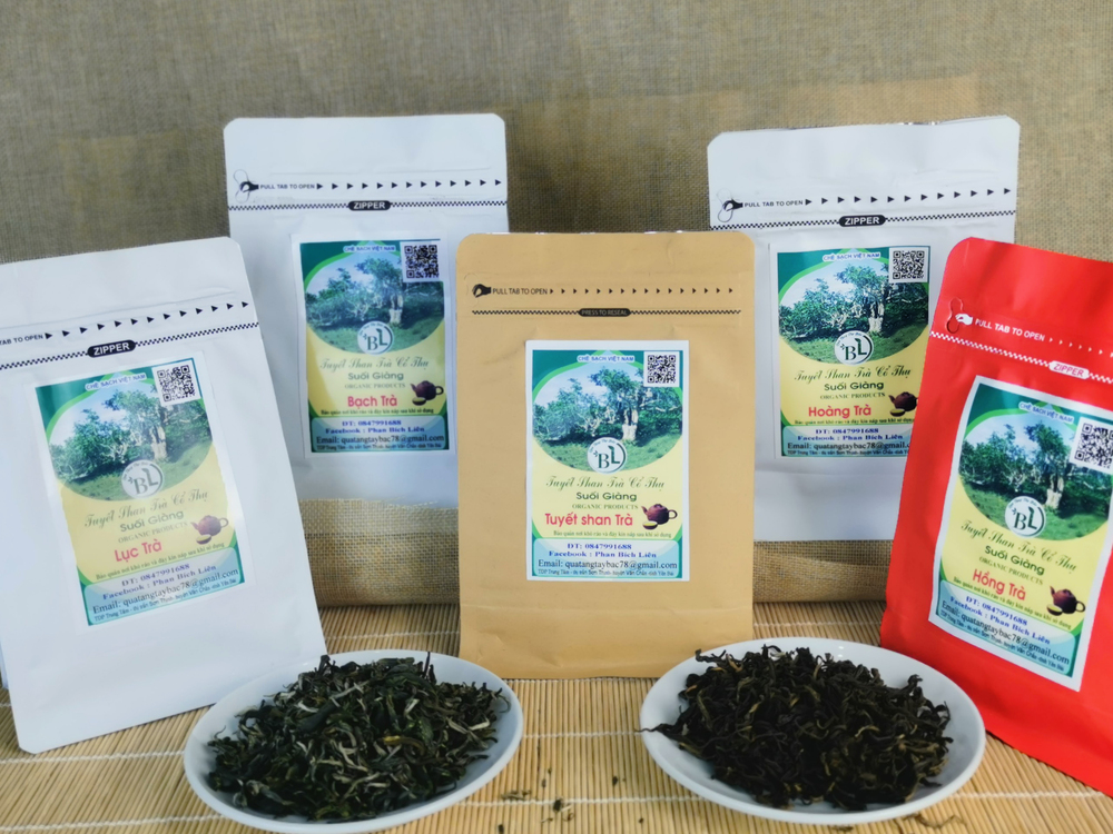 Thông tin về trà xanh