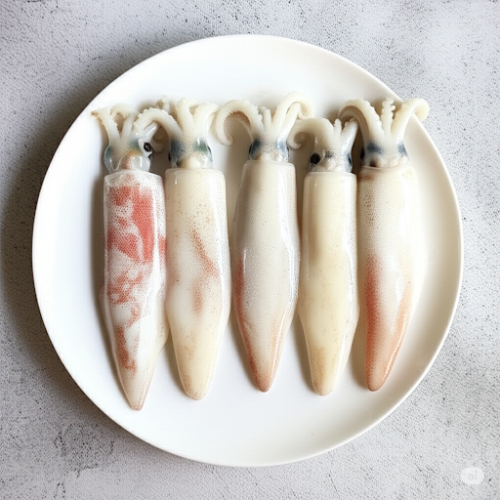 Đặc điểm thịt mực