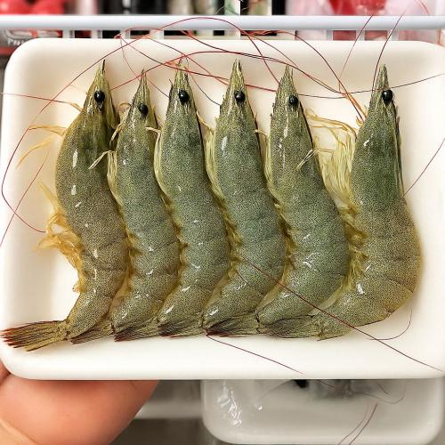 Mua tôm chất lượng cao