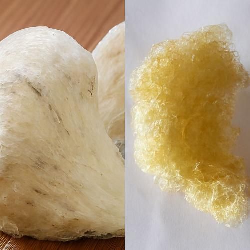 Yến sào giả hoặc kém chất lượng