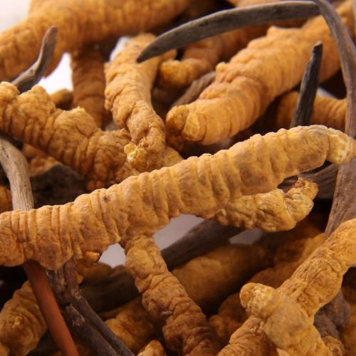 Cải thiện chức năng sinh lý