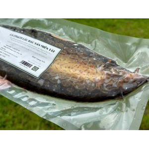 Cách sơ chế cá chạch đúng