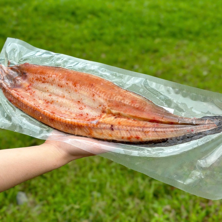 Cá chạch là cá gì?