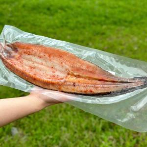 Cá chạch là cá gì?