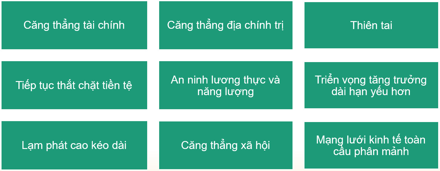 Rủi ro đa dạng chồng chéo