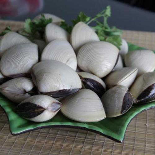 Nguyên liệu hải sản