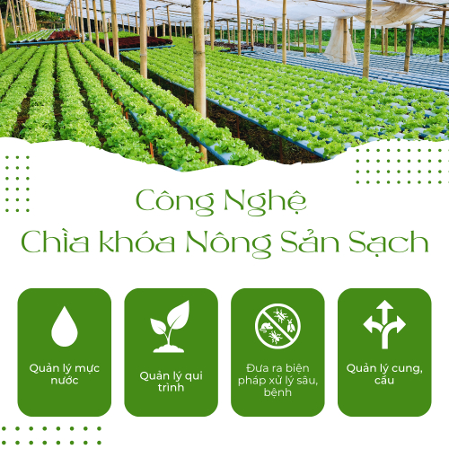 Công nghệ trong khởi nghiệp nông sản sạch: Chìa khóa thành công?