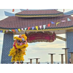 Các đoàn Lân biểu diễn