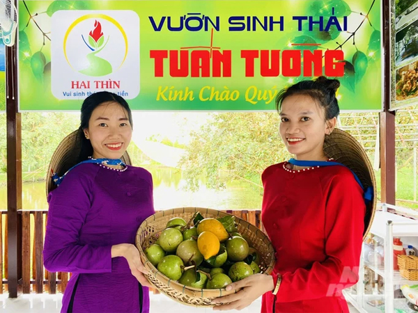 Điểm đến du lịch miệt vườn hấp dẫn tại Phong Điền