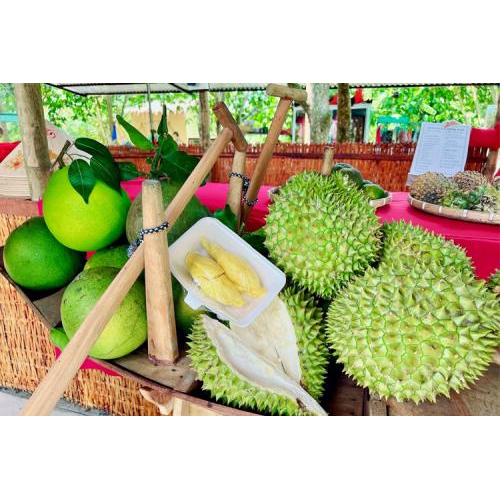 Sầu Riêng Ri6