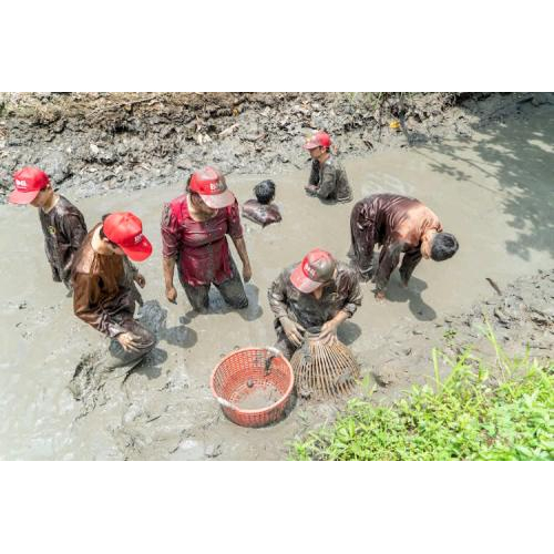 Lội Mương, Tát Ao – Trải Nghiệm Thú Vị, Đáng Nhớ