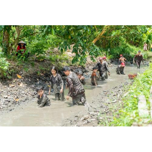 Lý do bạn không nên bỏ lỡ trải nghiệm này