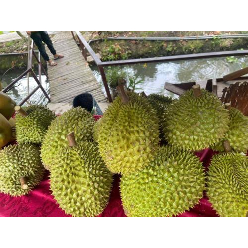 Những Món Ngon Từ Sầu Riêng