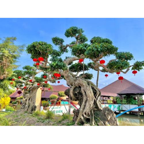 Không gian check-in ấn tượng