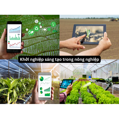 3. Khởi nghiệp sáng tạo trong nông nghiệp