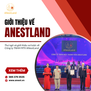Giới Thiệu Về Công Ty TNHH MTV ANestLand