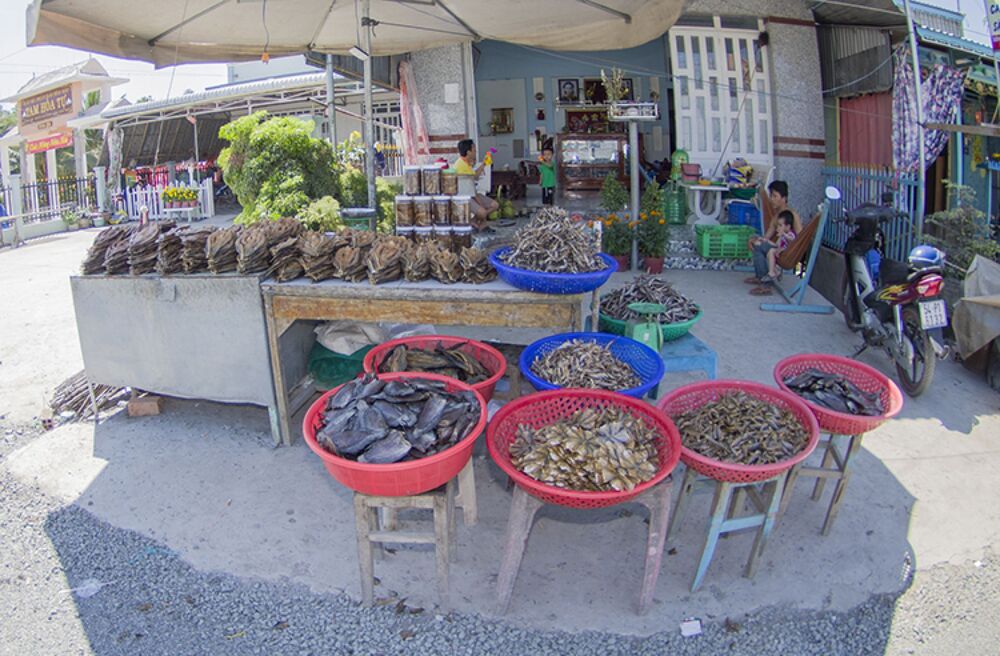Nội dung