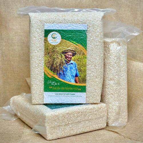 Lịch sử và nguồn gốc Gạo Nàng Thơm Cồn Vĩnh Quới