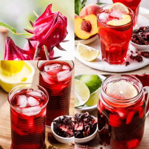 Tầm Quan Trọng Dinh Dưỡng Của Atiso Đỏ Đối Với Cơ thể Của Chúng Ta