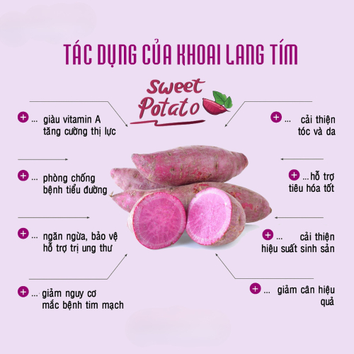 Giá Trị Dinh Dưỡng Và Công Dụng Tuyệt Vời Của Khoai Lang Tím