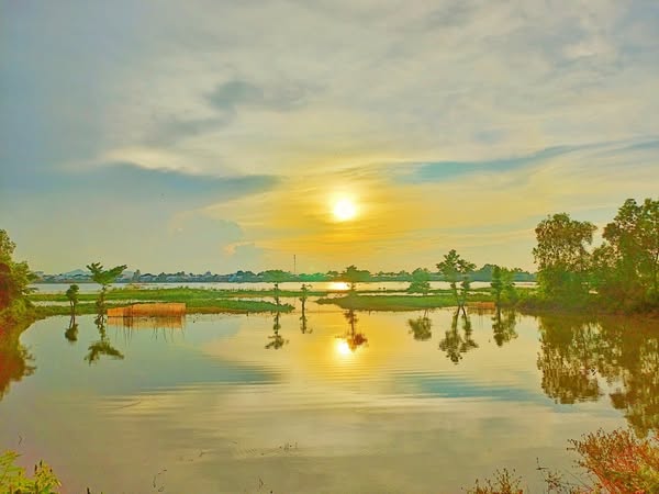 Nội dung cảm nhận về kênh Vĩnh Tế: