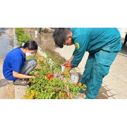 Công trình công thanh niên "Trồng hoa mười giờ"