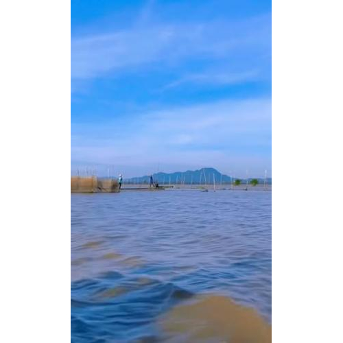 Bài 011: Cuộc Thi Ảnh: Ảnh Đẹp - Kênh Vĩnh Tế, Năm 2024