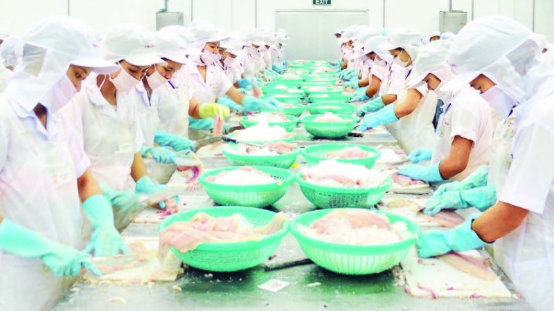 Vướng mắc quy hoạch đất đai, nhiều dự án đầu tư ở cần thơ bị chậm tiến độ